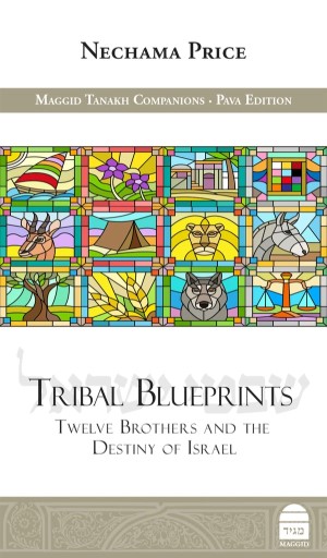 Book cover of Tribal Footprints