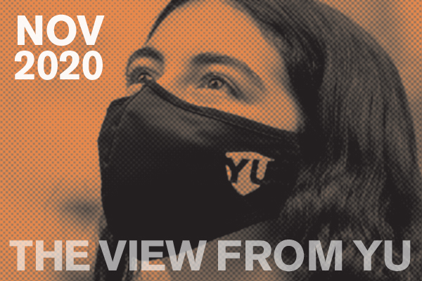 Header for the November View from YU