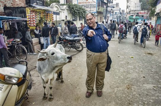 Rabbi Dr. Alan Brill During Sabbatical Year in India speaking to a cow in the middle of a street